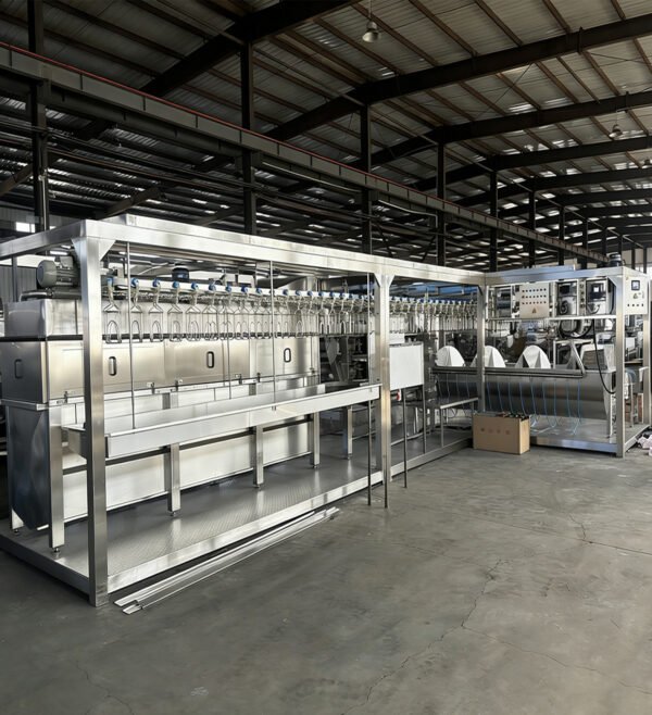 chicken slaughter line1 Plug-and-Play Broiler Slaughter Equipment