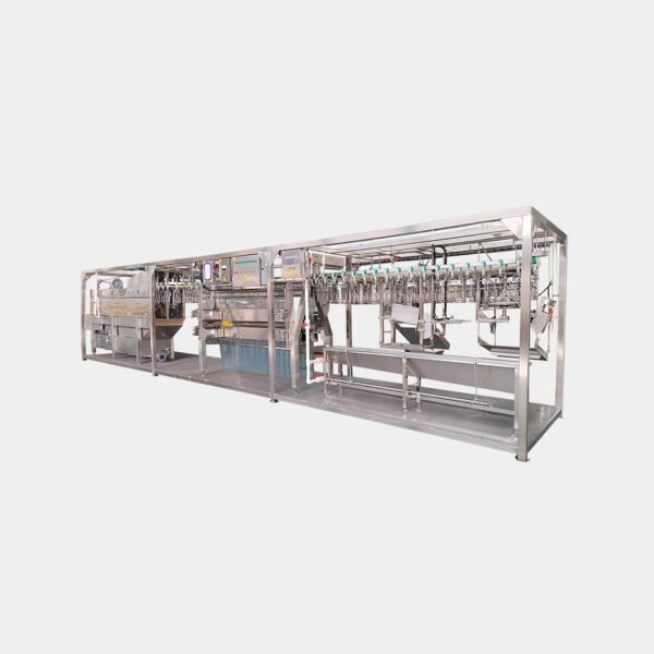 800–1000 BPH Poultry Slaughter Line | Compact Automatic Processing System