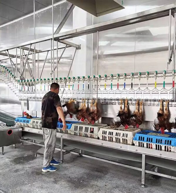 Poultry Cage Unloading System