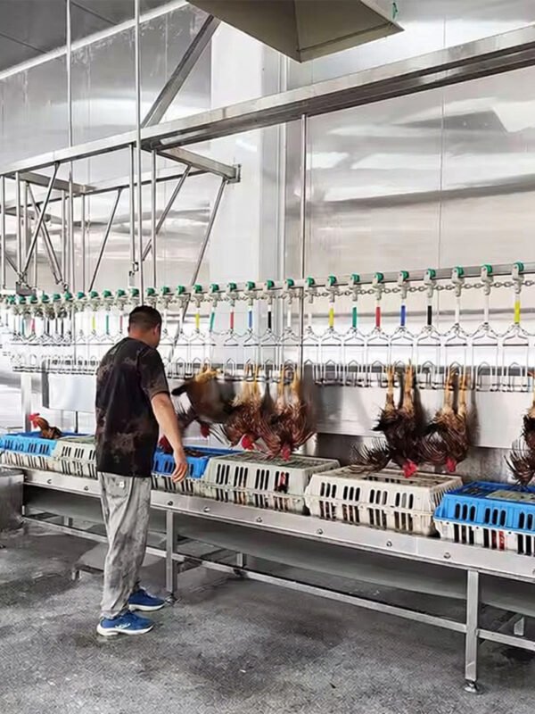 Poultry Cage Unloading System