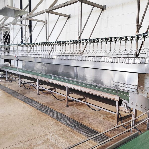 1000–3000 BPH Automatic Poultry Slaughter Line | Industrial Chicken Processing Plant