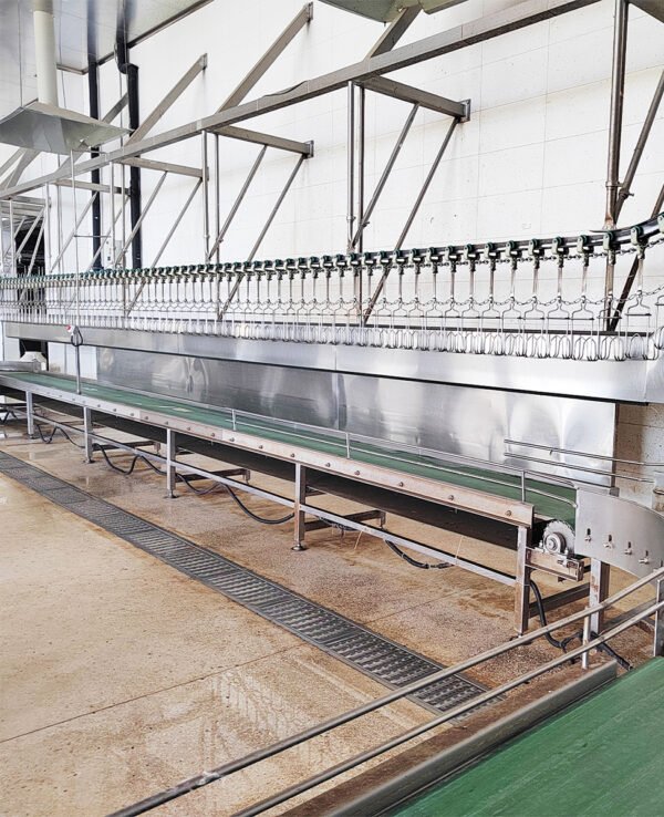 1000–3000 BPH Automatic Poultry Slaughter Line | Industrial Chicken Processing Plant