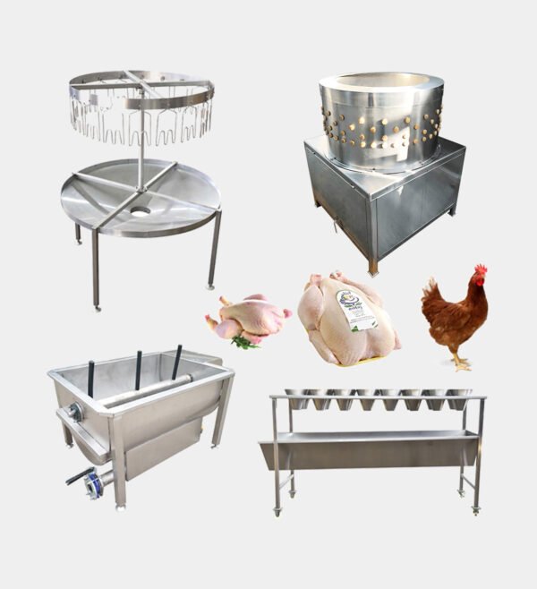 50–100 BPH Small Poultry Slaughter Line | Compact Processing Equipment