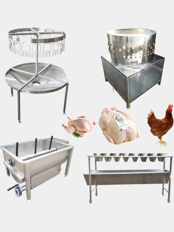 50–100 BPH Small Poultry Slaughter Line | Compact Processing Equipment