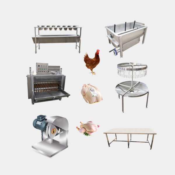 100–200 BPH Poultry Slaughter Line | Small Scale Chicken Processing Equipment