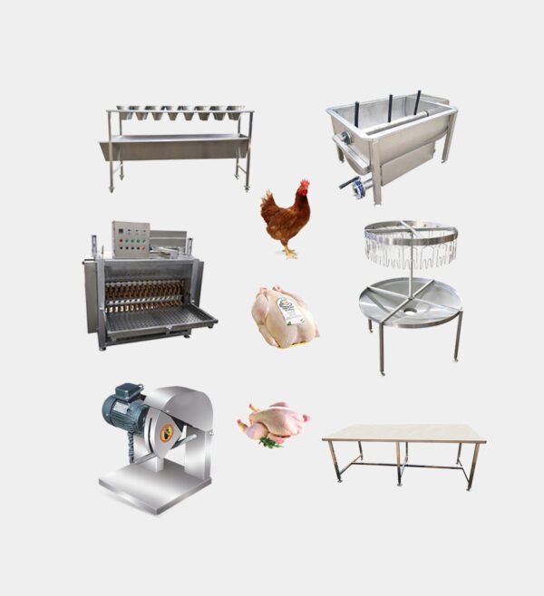 chicken slaughter machine-2609 100–200 BPH Poultry Slaughter Line | Small Scale Chicken Processing Equipment