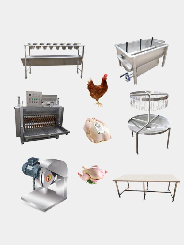 100–200 BPH Poultry Slaughter Line | Small Scale Chicken Processing Equipment