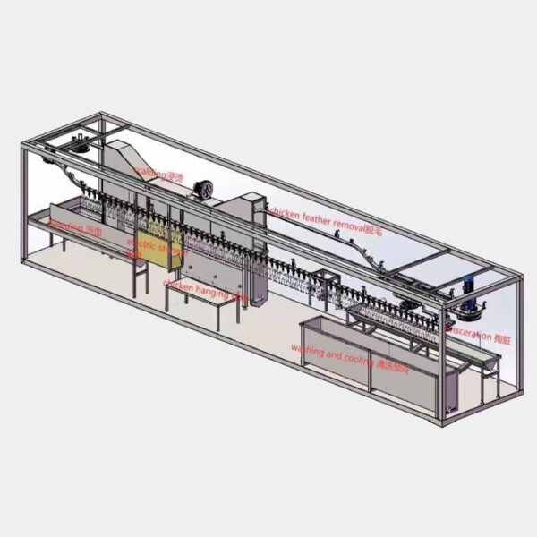 500–800 BPH Automatic Poultry Slaughter Line | Plug & Play Chicken Processing