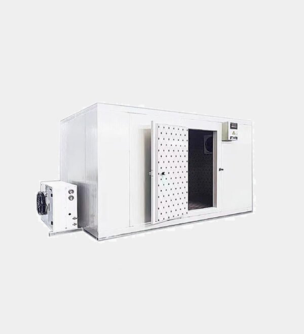 Cold storage room (4) 5-TON INDUSTRIAL BLAST FREEZER (QUICK FREEZING ROOM)