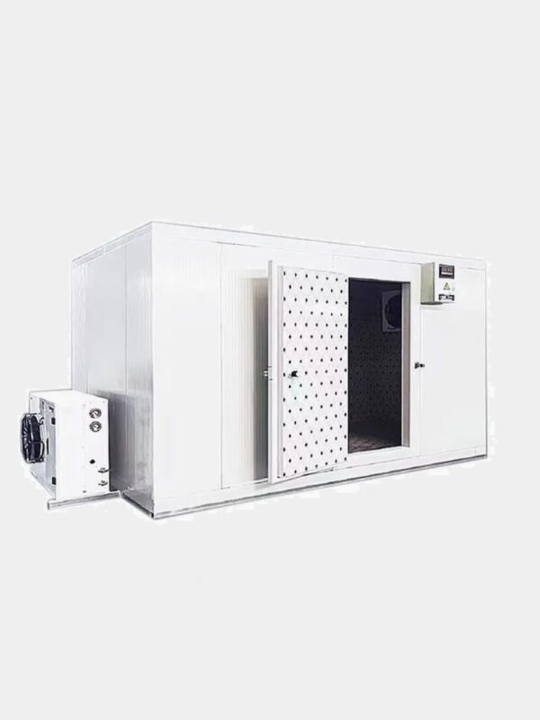 5-TON INDUSTRIAL BLAST FREEZER (QUICK FREEZING ROOM)